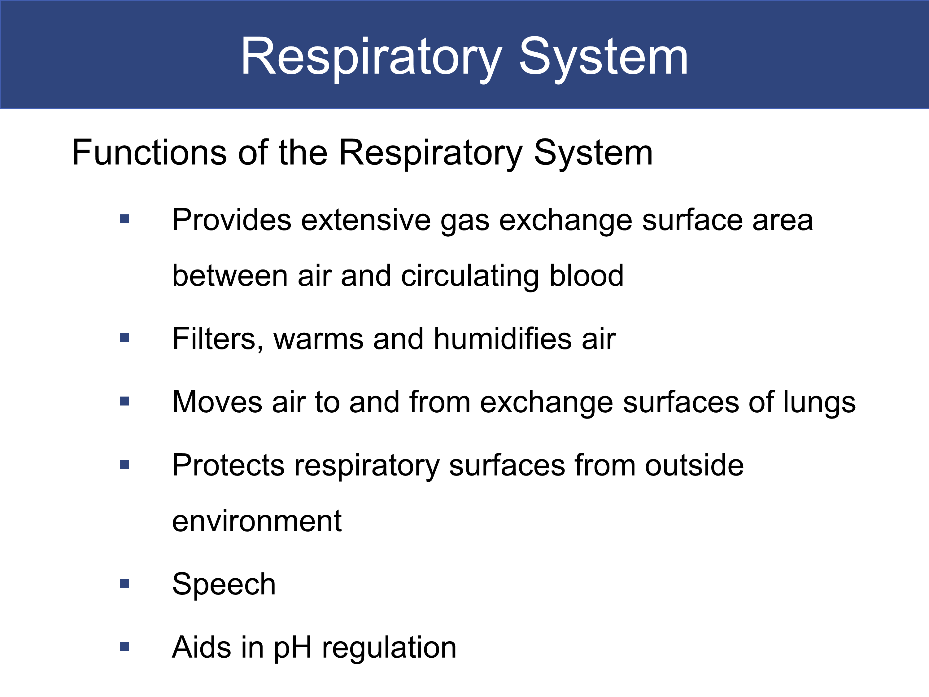 No preview available